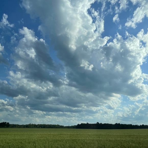 Meet your Posher, Alice - Picture 3 of 5